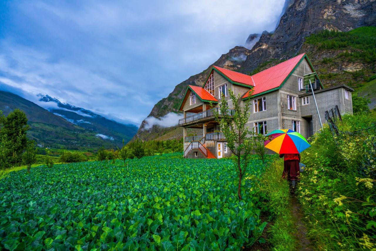 Zostel Homes Rashil Tandi Exteriör bild