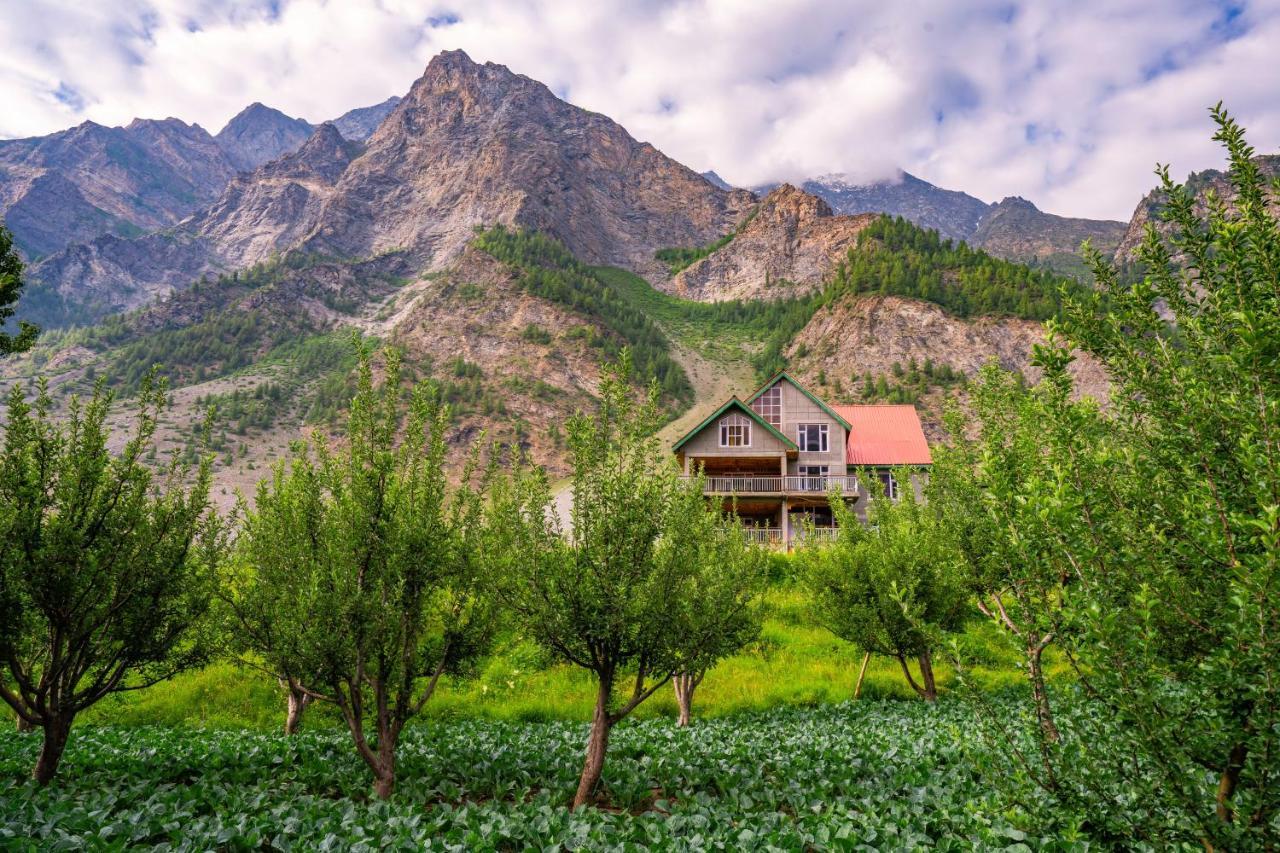 Zostel Homes Rashil Tandi Exteriör bild
