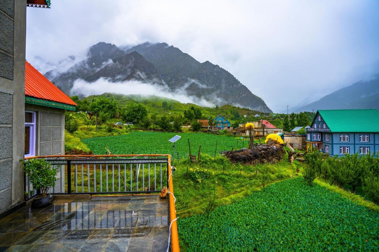 Zostel Homes Rashil Tandi Exteriör bild