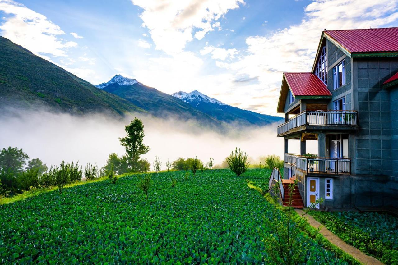 Zostel Homes Rashil Tandi Exteriör bild